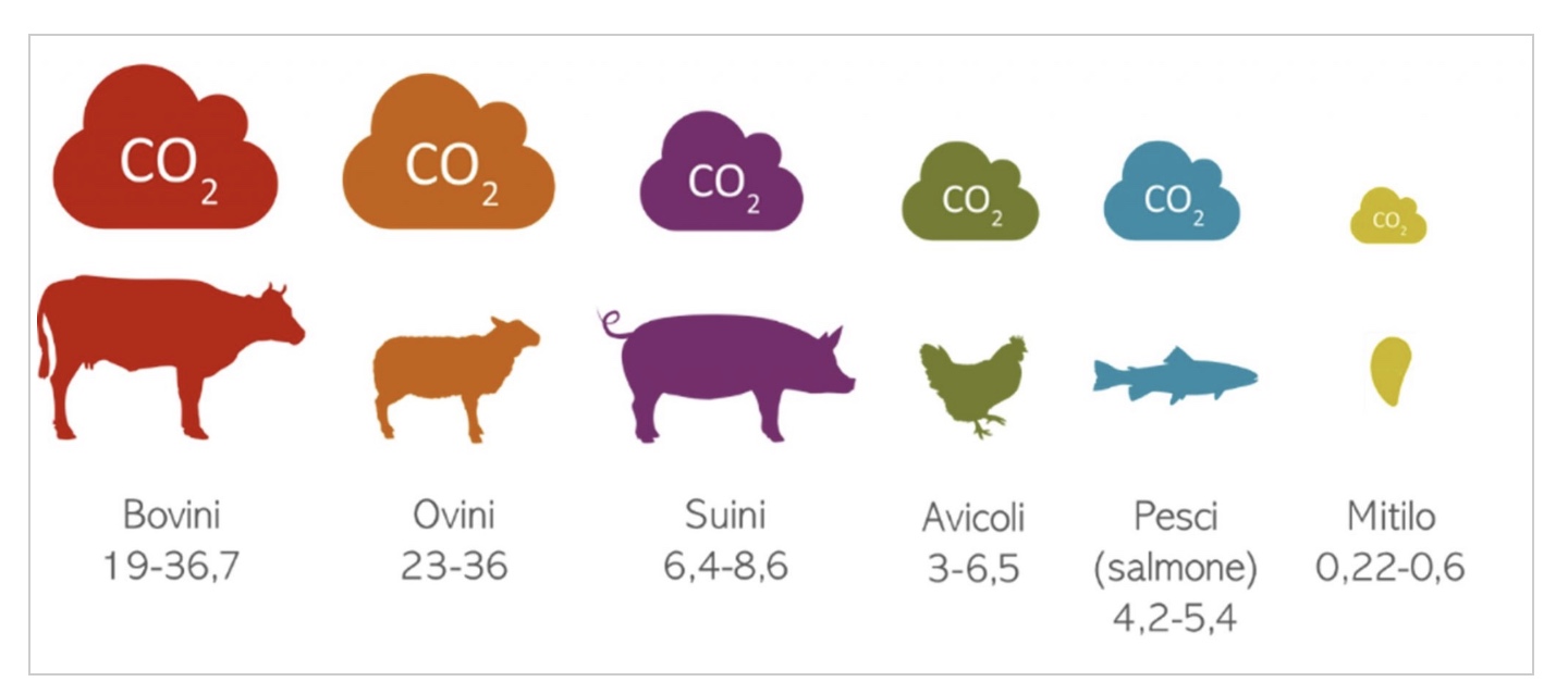 acquacoltura meno emissioni sequestra carbonio