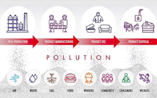 PFAS, go for limits in meat, fish, eggs and other foods of animal origin