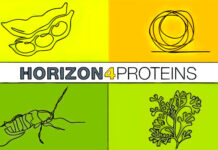 Horizon4Proteins