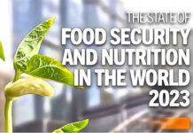 State of Food Security and Nutrition