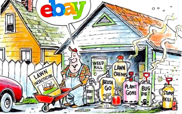 USA, eBay a processo per la vendita illegale di pesticidi