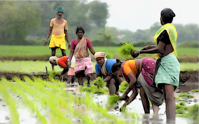 FAO Voluntary Guidelines Food Systems