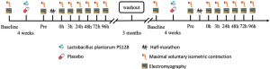 Flowchart of the experimental design. Lactobacillus plantarum PS128