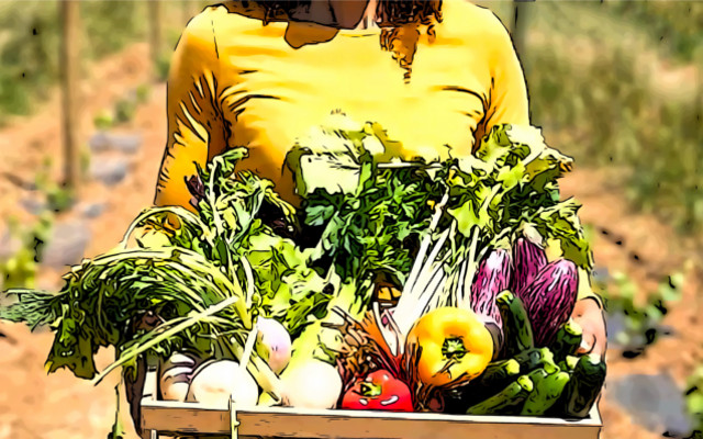 eliminare i pesticidi di sintesi