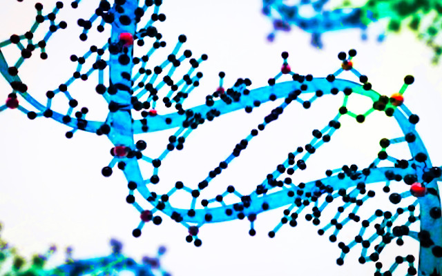 genetically modified microorganisms