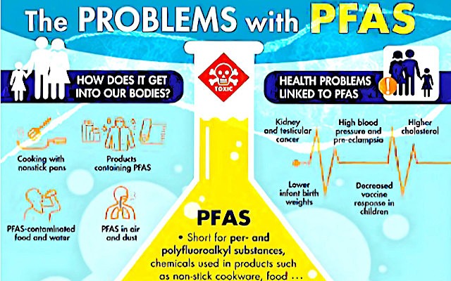 Inquinamento da PFAS, quasi quattromila morti in più in 30 comuni veneti