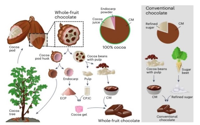 Cioccolato dall’intero frutto del cacao, senza zuccheri aggiunti