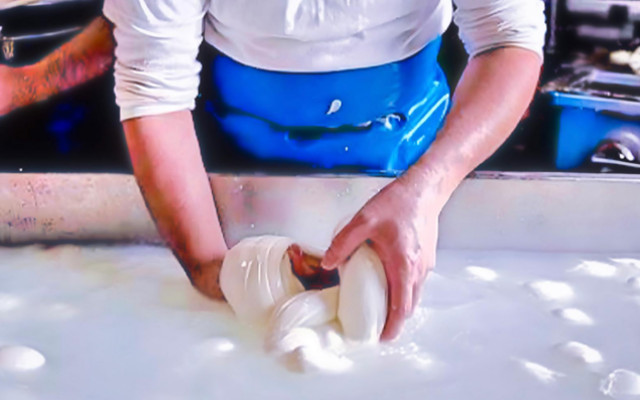 mozzarella production technology