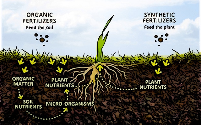 Agricoltura biologica utilizzo fertilizzanti UE