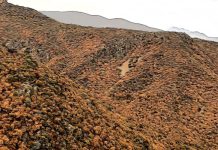 Drought in Sardinia shepherds' alarm